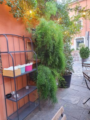 Dehors at Foodie in Cesena