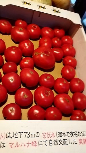 フルーツトマト自然勾配した爽健唐柿トマト at Bean's Goody in Kyoto