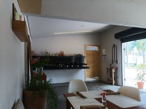 Inside at Pierre Vegetariano in Morretes