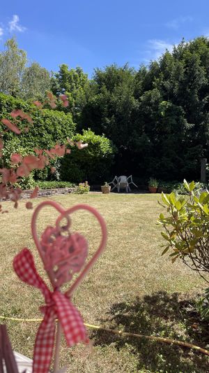 Ambiete Außenbereich  at Café Wolke 7 in Neuwied