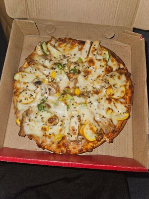  at Go with Vegan in Jaipur