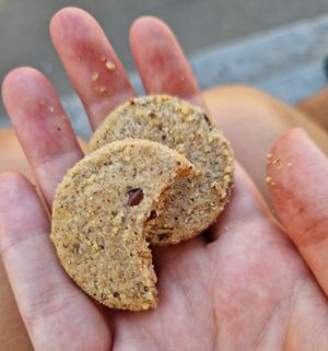 Biscotti at Bocal & Co - Arles in Arles