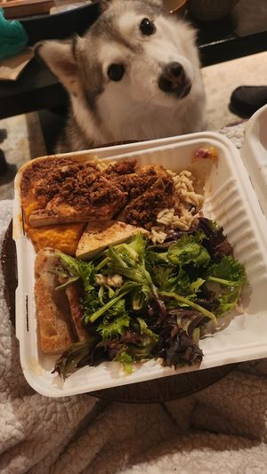 Takeout Compost Plate at The Red Fern in Rochester