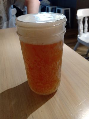 Draft kombucha (black tea mango) at The Red Fern in Rochester