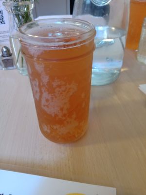 Hibiscus ginger lime kombucha at The Red Fern in Rochester