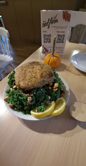  at The Red Fern in Rochester