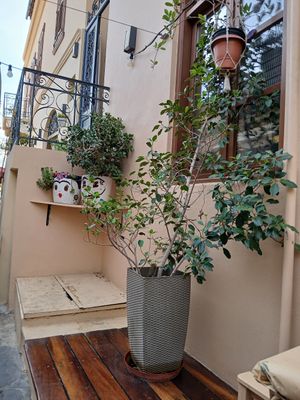 Decor outside seating at Estiatório Ta Karafákia - Εστιατόριο Τα Καραφάκια in Aegina