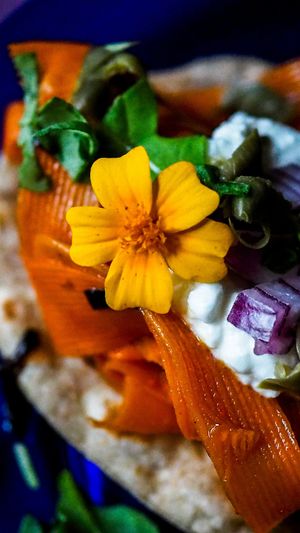 Tacosy orkiszowe, marynowana marchewka w nori, oleju lnianym, kwaśna śmietana, cebula czerwona, kapary at NO TU OliDeli in Warsaw