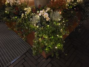 Outdoor decoration at Kafé Oransjeriet in Stavanger