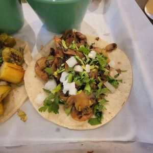 Mushroom Taco at Otomi in Raleigh
