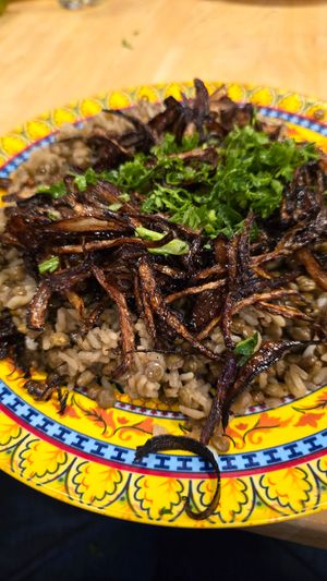  at Delight of Beirut in Miami