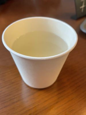 Ginger and lemon tea  at Shio Veg Cafe in Kyoto