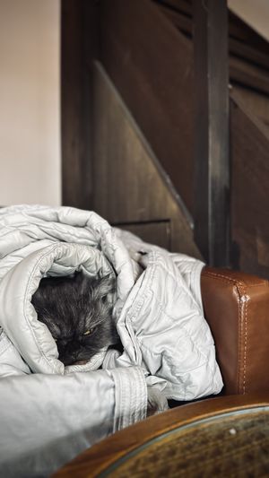   at Shio Veg Cafe in Kyoto