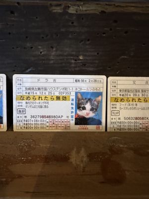   at Shio Veg Cafe in Kyoto