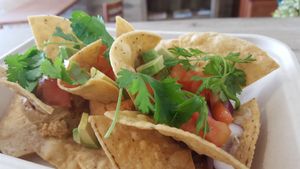 Nacho at Loving Heart in Chicago