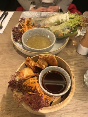 Gyoza and Summer Rolls   at Viegan in Stuttgart