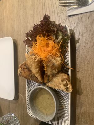 Hausgemachte Frühlingsrollen  at Viegan in Stuttgart