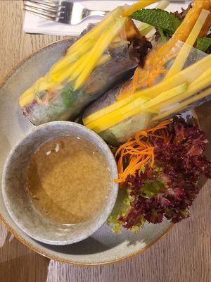 Sommerrollen mit Mango at Viegan in Stuttgart