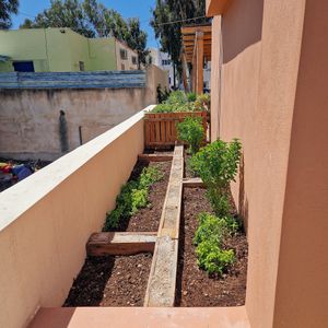 Herb garden at Omoo in Santorini