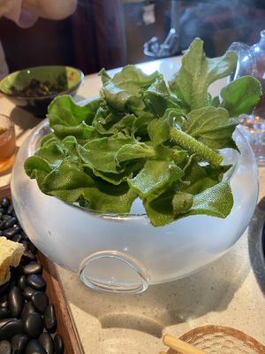   at Yiyeyi World Shekou in Shenzhen