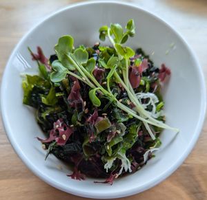 Hiyashi Wakame seaweed salad at Mirakutei in Portland