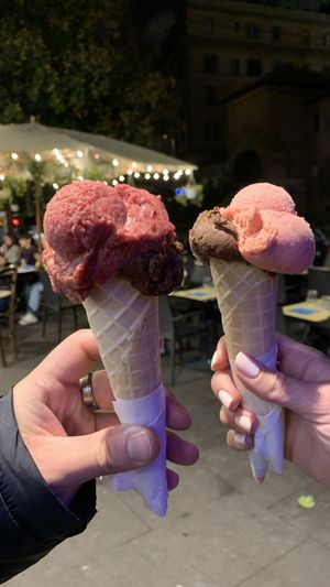 vegan gelato  at Fatamorgana Gelato in Rome