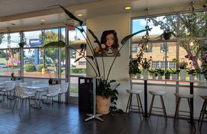 interior at Sprinkle Divine in Portland