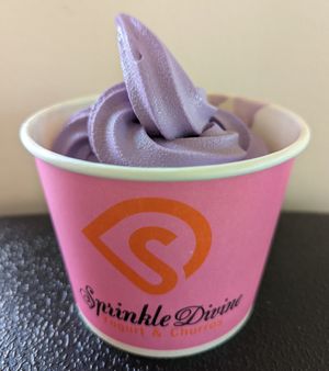taro at Sprinkle Divine in Portland