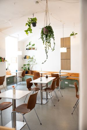  at Bistro Deppat in Vienna