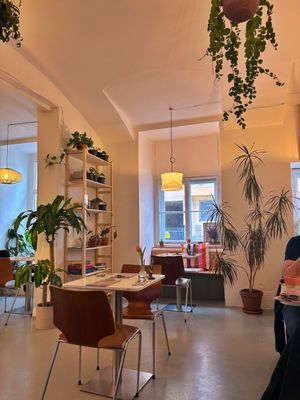   at Bistro Deppat in Vienna