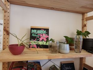  at Bistro Deppat in Vienna