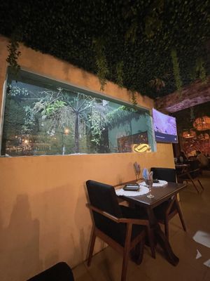 Atmosphere   at Tei Sushi in San Jose Del Cabo