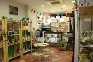 Bakery specializing in artisan and organic bread. All baking is 100% vegan and organic in its majority. You can find cookies, cakes, candy, etc.. Also make vegan cakes on request. 
In Store gluten free, lactose free, egg free, sugar free, organic... at ECOEcoShop in Granada