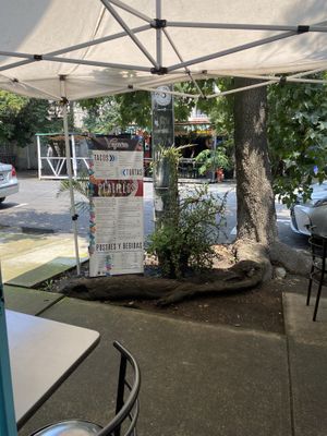 Zona de afuera  at Veganion in Mexico City