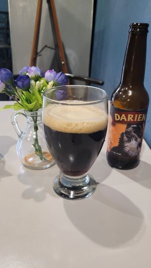 Darien dark beer at Veganion in Mexico City