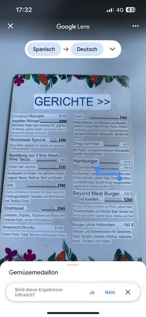  menu p 2 german  at Veganion in Mexico City
