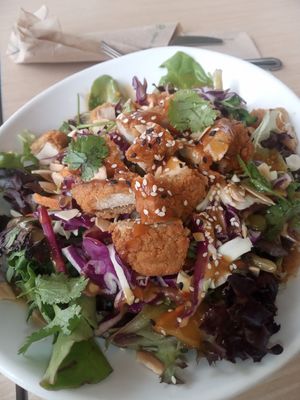 Southwestern Salad (ginger-sesame) at Native Foods in Glendale