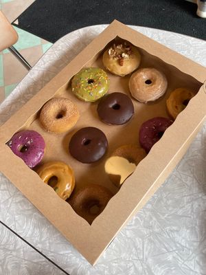   at Rainbow Bakery in Bloomington