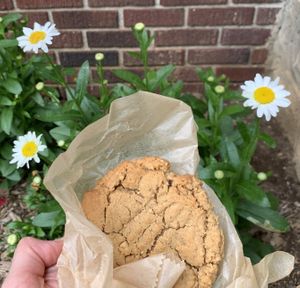 Peanut butter cookie at Rainbow Bakery in Bloomington