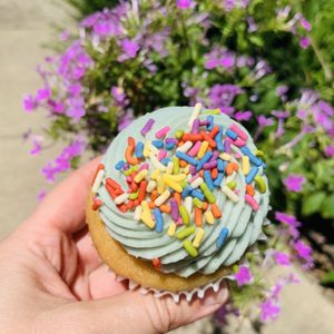 Vanilla cupcake! at Rainbow Bakery in Bloomington