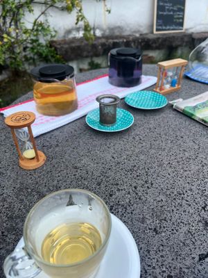 Tea tasting at Azores Essentials Lda at Chalet da Tia Mercês in Sao Miguel