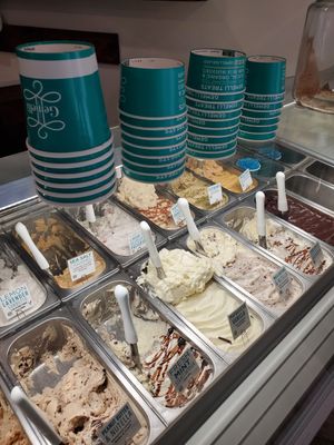 Cup sizes at Gemelli - Artisanal Gelato in Phoenixville