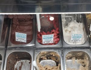 Vegan options at Gemelli - Artisanal Gelato in Phoenixville