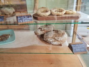  at Kasama in Palomino