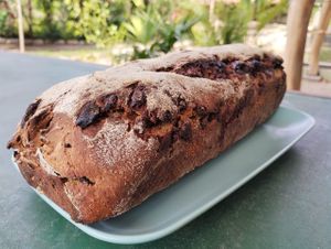  at Kasama in Palomino