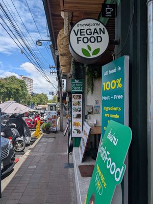  at Begin Vegan Food in Chiang Mai