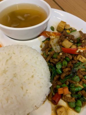 🇵🇸🌴 Stir-fried 🗝️ 🇵🇸 Vegan Minced 👩🏽‍🍼⚖️🇵🇸 Soya Protein with 🕌 Holy Basil 🇵🇸 
(🌏🇵🇸 กระเพราหมูกร at Begin Vegan Food in Chiang Mai