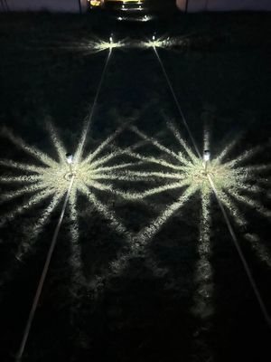 Photo credit: Mongolian Vegan Camp at Mongolian Vegan Camp in Ulaanbaatar