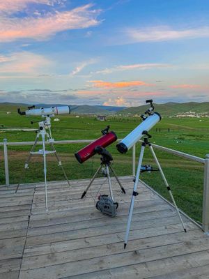 Photo credit: Mongolian Vegan Camp at Mongolian Vegan Camp in Ulaanbaatar