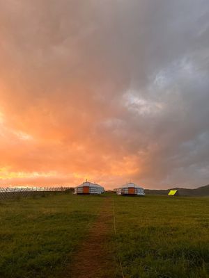 Photo credit: Mongolian Vegan Camp at Mongolian Vegan Camp in Ulaanbaatar